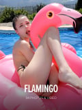 Flamingo : Milla from Watch 4 Beauty, 02 Jan 2018 Flamingo : Milla from Watch 4 Beauty, 02 Jan 2018